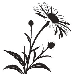 silhouette sunflower on white background