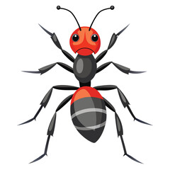 Obraz premium ant vector image on white background