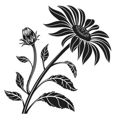 silhouette sunflower on white background