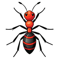 Fototapeta premium ant vector image on white background