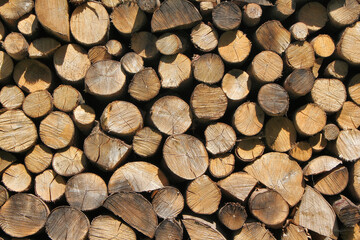 Brennholz