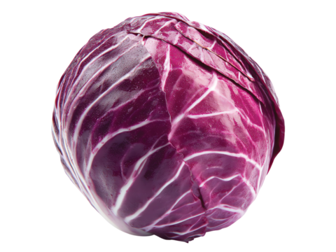 Back of colorful free range male rooster isolated on transparent or white background, clipping path ,png 