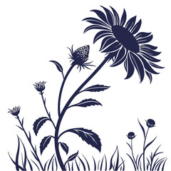 silhouette sunflower on white background