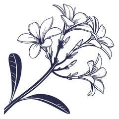 silhouette Chamoli on white background