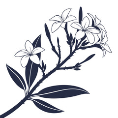 silhouette Chamoli on white background