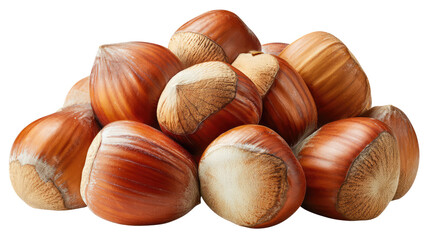Fresh hazelnuts with glossy shells arranged aesthetically on transparent background

