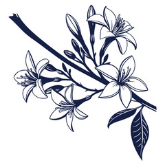 silhouette Chamoli on white background