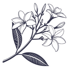 silhouette Chamoli on white background