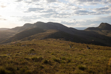 mountain range saw trail route golden grass travel view landscape gold