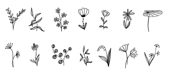 Ink Crayon charcoal flower Marker Gouache hand drawn sketches illustrations. Dry brush stroke simple minimalistic floral doodles isolated on white for cosmetics, kid education.