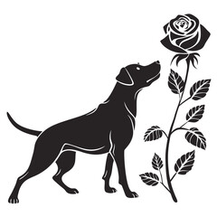 silhouette dog rose on white background
