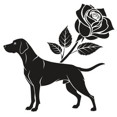 silhouette dog rose on white background
