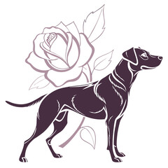 silhouette dog rose on white background