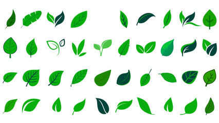 set of green leaves