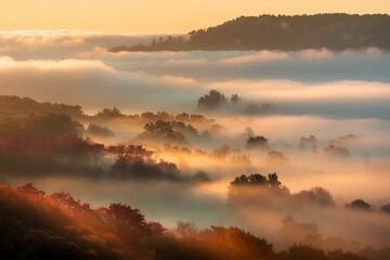 Naklejka premium Foggy autumn landscape with trees shrouded in mist at sunrise, creating a scenic and ethereal view of nature's beauty in the countryside
