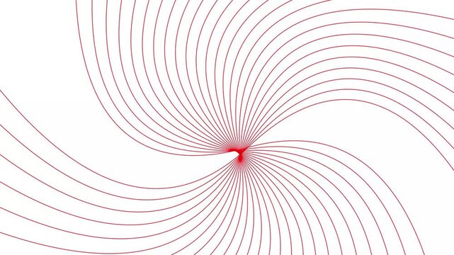 Geometric swirl line movement red color animation. Red pattern wavy line on white background. 