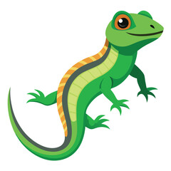 lizard vector image on white background