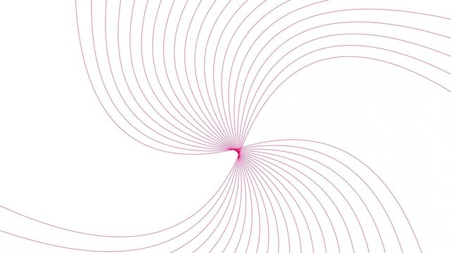 Geometric swirl line movement  magenta red color animation. Red pattern wavy line on white background. 