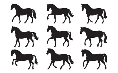 Black and White Horse Silhouettes in Various Poses