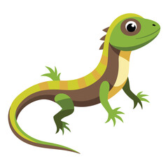 lizard vector image on white background