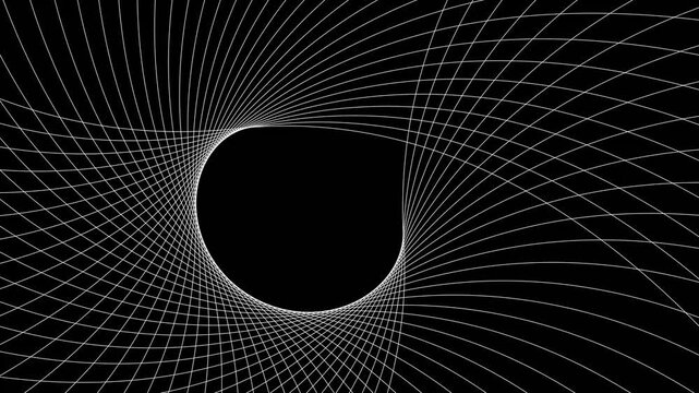 Geometric swirl line movement white color animation. White pattern wavy line on black background. 
