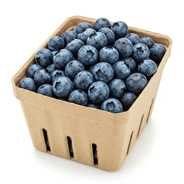 Freshly picked organic blueberries in a cardboard quart container isolated on a white background