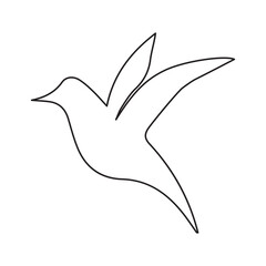 colibri line icon