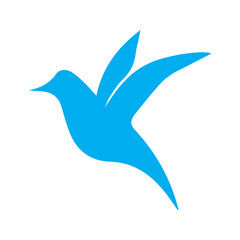 colibri colored icon