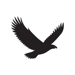 Eagle vector illustration, Silhouettes of the sea eagles, black and white eagle silhouettes.