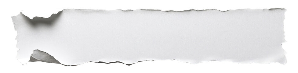 Torn White Rectangular Piece of Paper