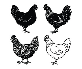 Elegant Hen Silhouette Poultry Vector Art.