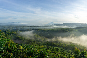 Lush green mountain landscape shrouded in thick mist. At the lower slopes, there are neatly arranged farmland plots and a few small buildings. 