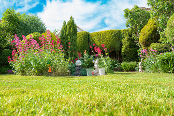 Wonderful, privately maintained lush garden and lawn seen in a private back garden. A small pond is in the middle of the lawn surrounded by summer Red Valerian herb plants.