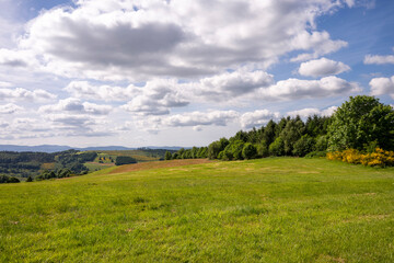 Prairies d'altitude au sud des Vosges