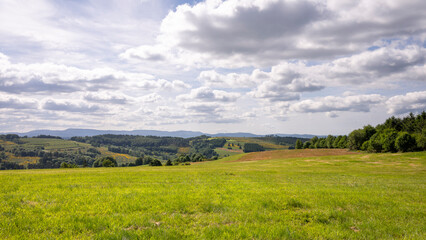 Pré d'altitude dans les Vosges et panorama