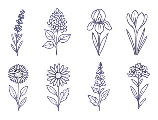 Botanical silhouette icon set. nature and floral design elements