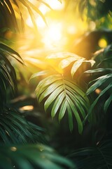 Close-up of vibrant green palm leaves with bright sunlight shining through from above, creating a warm, misty and serene atmosphere