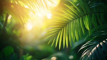 lush green palm leaves illuminated by sunlight, creating a vibrant and tropical atmosphere
