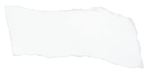 Horizontal torn paper strip vector with delicate edge rip and soft fiber details, ideal for modern flyer mockups, layout overlays, or printable notebook collage visuals with elegant styling