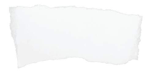 Fototapeta premium Feathered-edge white torn note asset with a smooth organic wave, ideal for flyer graphics, layout segmentation, or clean decorative overlays in minimalist editorial compositions