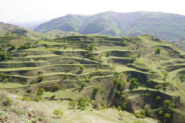 Chokha terraces covered with green vegetation. Mountainous region of Dagestan.