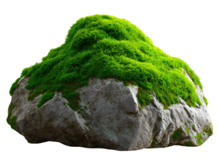 Serene Stone of Nature: A captivating stone adorned with vibrant green moss, radiating a sense of tranquility and natural beauty, inviting viewers to appreciate the earth's serene charm.