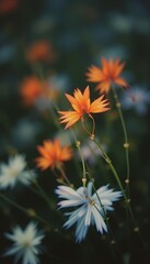 Obraz premium Close-Up of Colorful Flowers with Bokeh – Orange, White, and Blue Petals Against a Dark Blurred Background with Soft Diffused Light