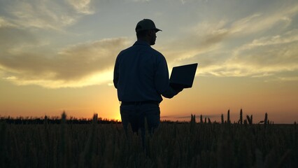 Businessman farmer with laptop is working in wheat field, assessing, checking grain harvest. Farmer...