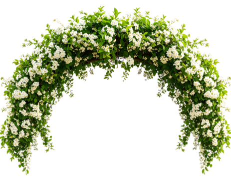 Decorative Curved Tree Branch with White Blossoms and Lush Leaves, Isolated on a transparent background