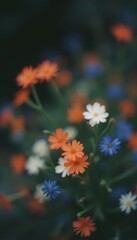 Close-Up of Colorful Flowers with Bokeh &ndash; Orange, White, and Blue Petals Against a Dark Blurred Background with Soft Diffused Light