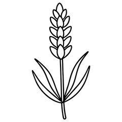 vector illustration of a tree