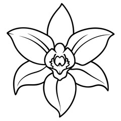 Obraz premium vector illustration of a flower