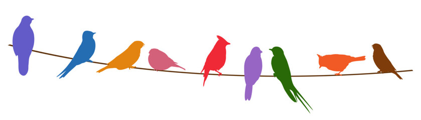 Wildlife.  Colorful silhouettes of birds sitting on wire. Vector illustration