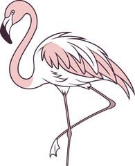 flamingo vector illustration